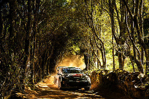 Elfyn Evans